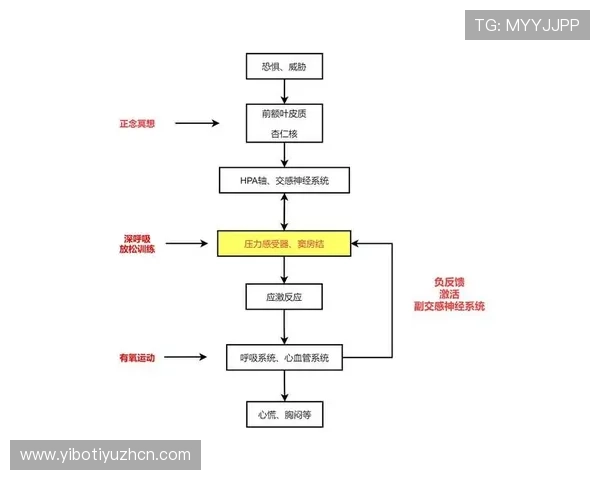 K8凯发平台的客服体系与用户反馈机制全面解析